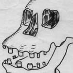 czaszka_thumb.jpg